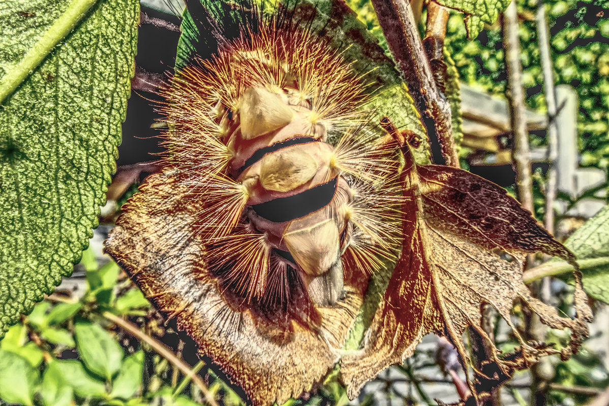 Was da wohl rauskommt?