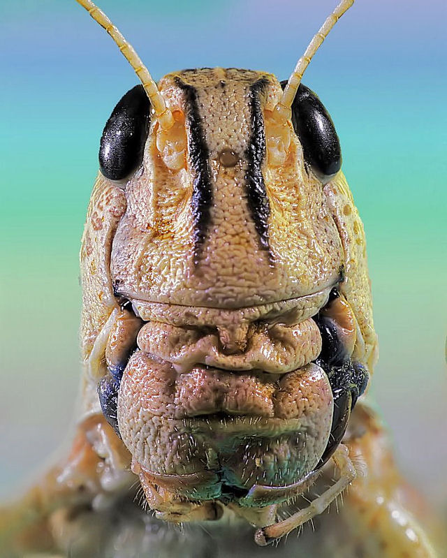 Hallo ich grüße euch....