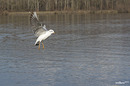 Landeanflug