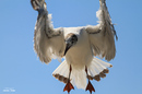 Neugierig