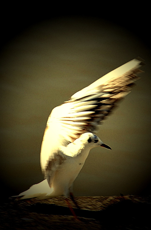 Abflug