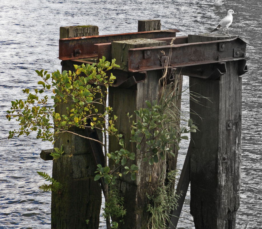 Die Aussicht genießen in der Flugpause