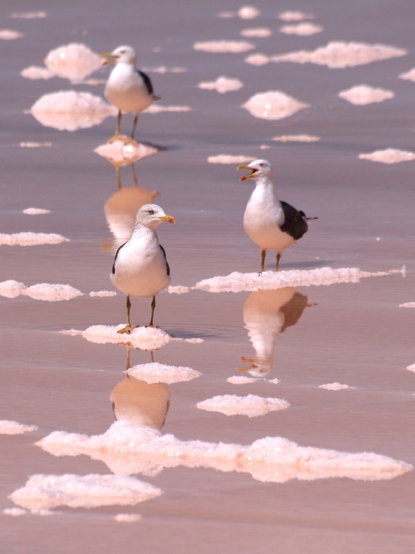 wo sind wir denn hier gelandet?