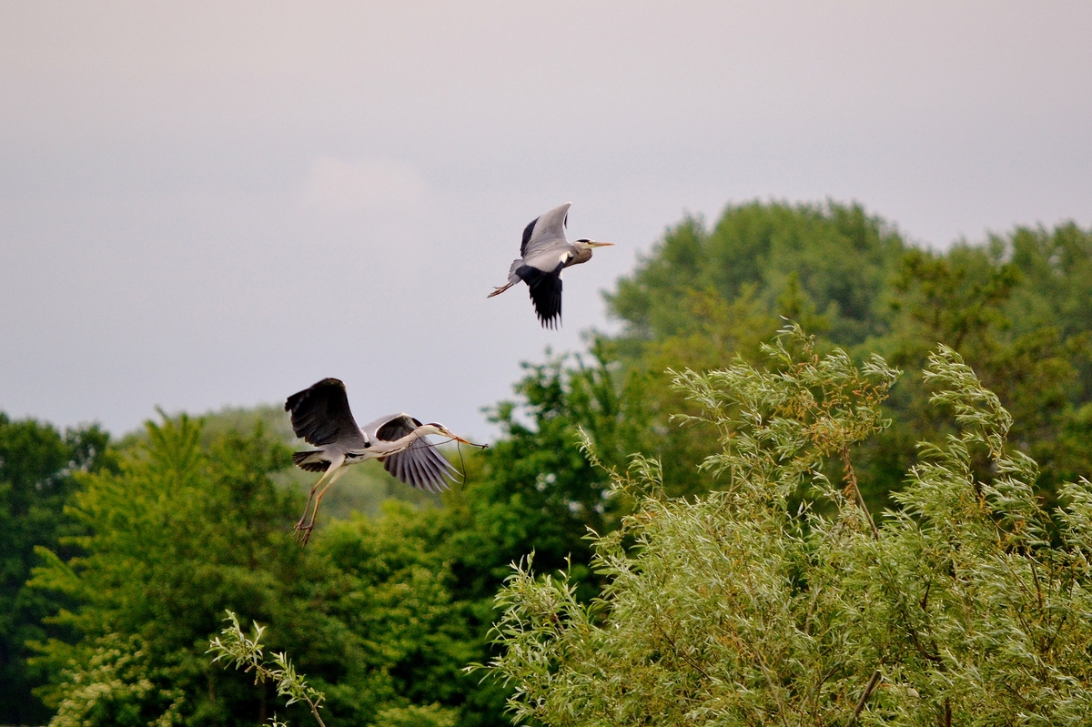 Flugverkehr..........