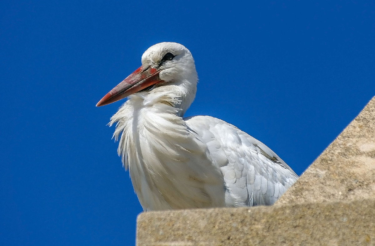 Ein wenig relaxen.....