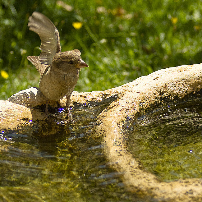 immernoch  badezeit