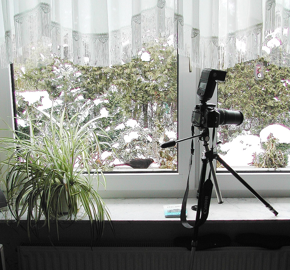 Making-off "Winterfütterung"