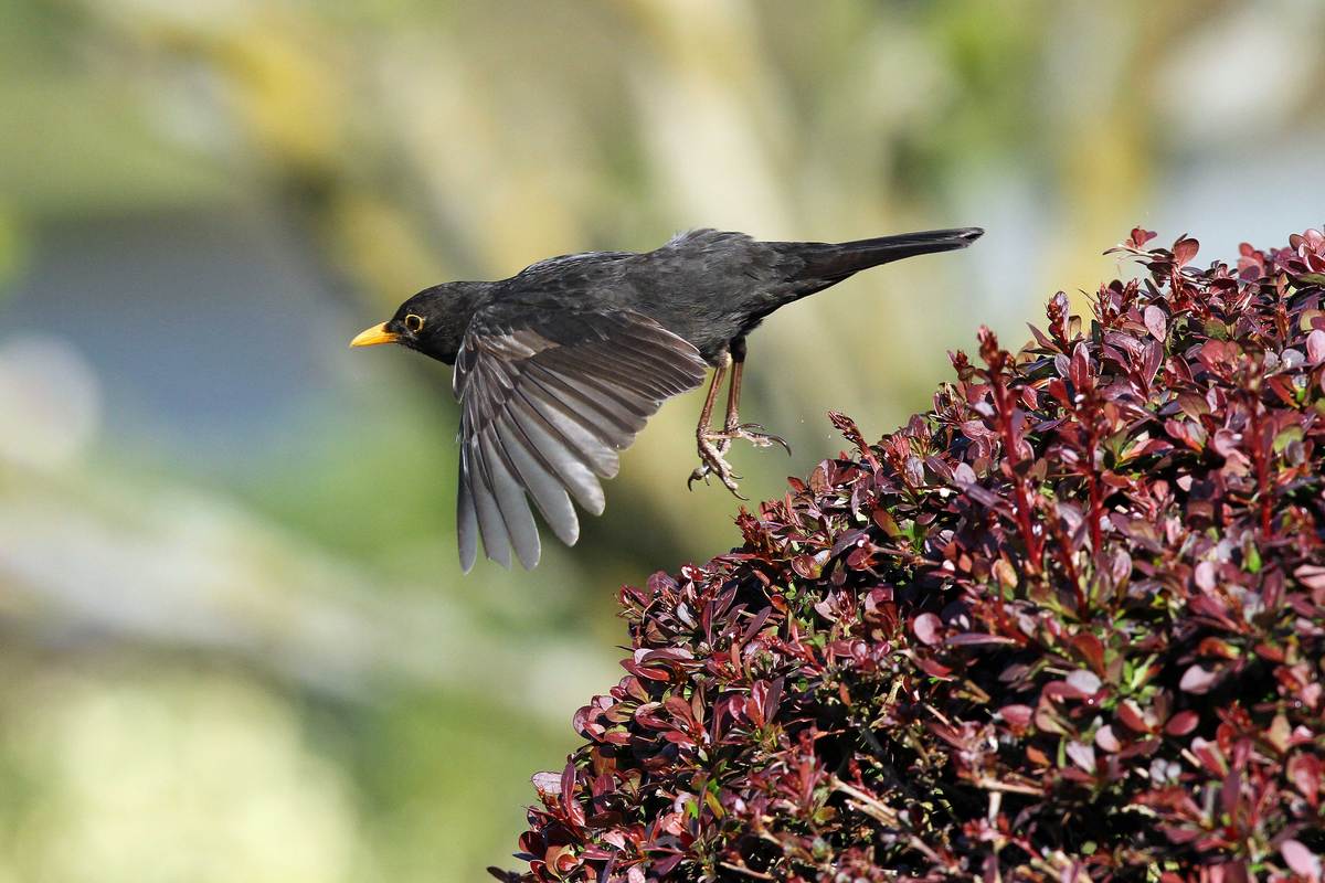 Abflug!