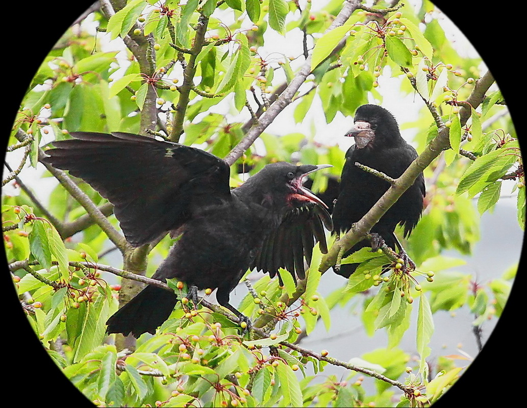 Jetzt gehts rund ...