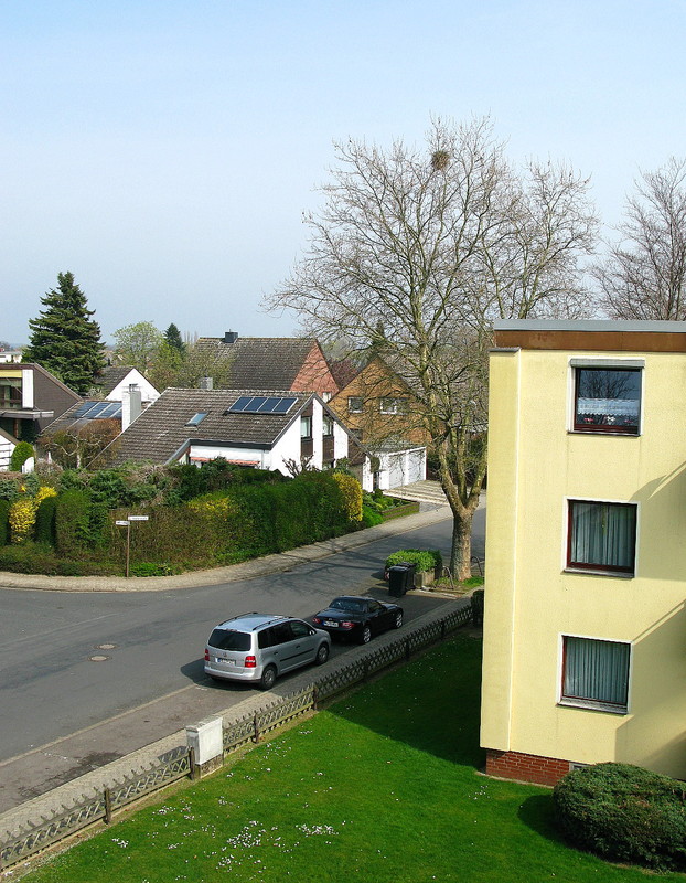 Elsternest nahe der Haustür (01. April 204/14:14 Uhr) --- 1. Foto ---