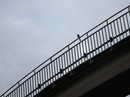 Wächter auf der Brücke