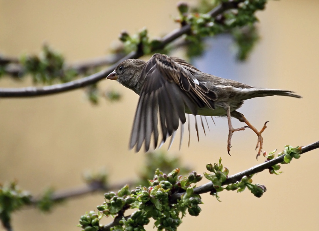 Abflug