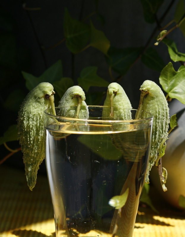 Die haben auch Durst?