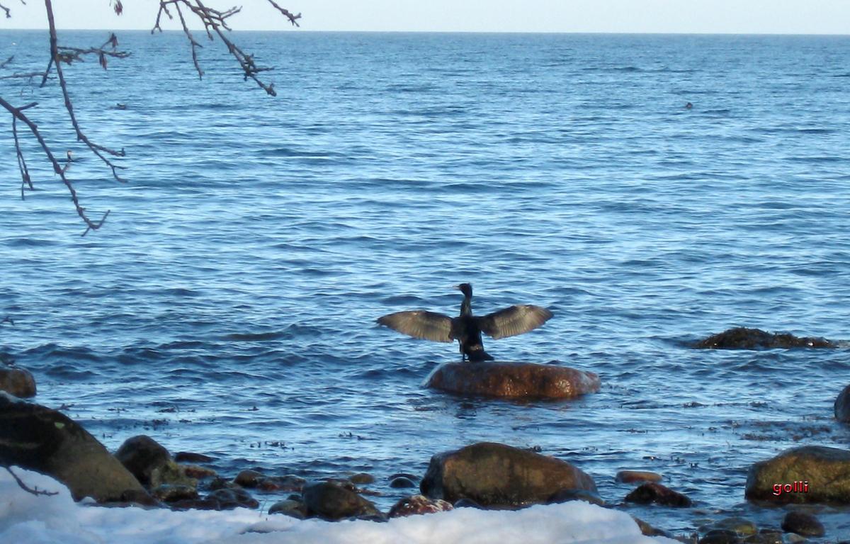 ich nehme mal ein Sonnenbad auf Fehmarn