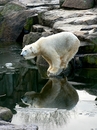 Wer ist denn da unten im Wasser, ach dat bin ja icke.