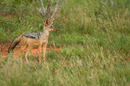 Kenia 2014/5