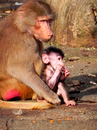 Mama mit ihren Baby 