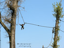 flying Bonobo