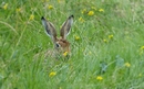 Ist denn schon Ostern