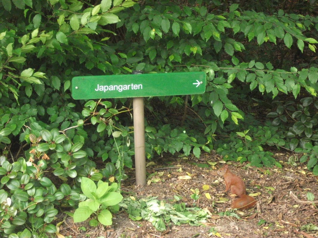 Eichhörnchen am Wegweiser