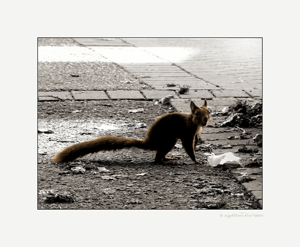 Kurz vorbeigeschaut....