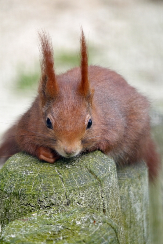 Pause muss auch mal sein :)