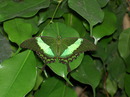 Fotos_Sonstige Wildtiere