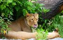 Fotos_Sonstige Wildtiere