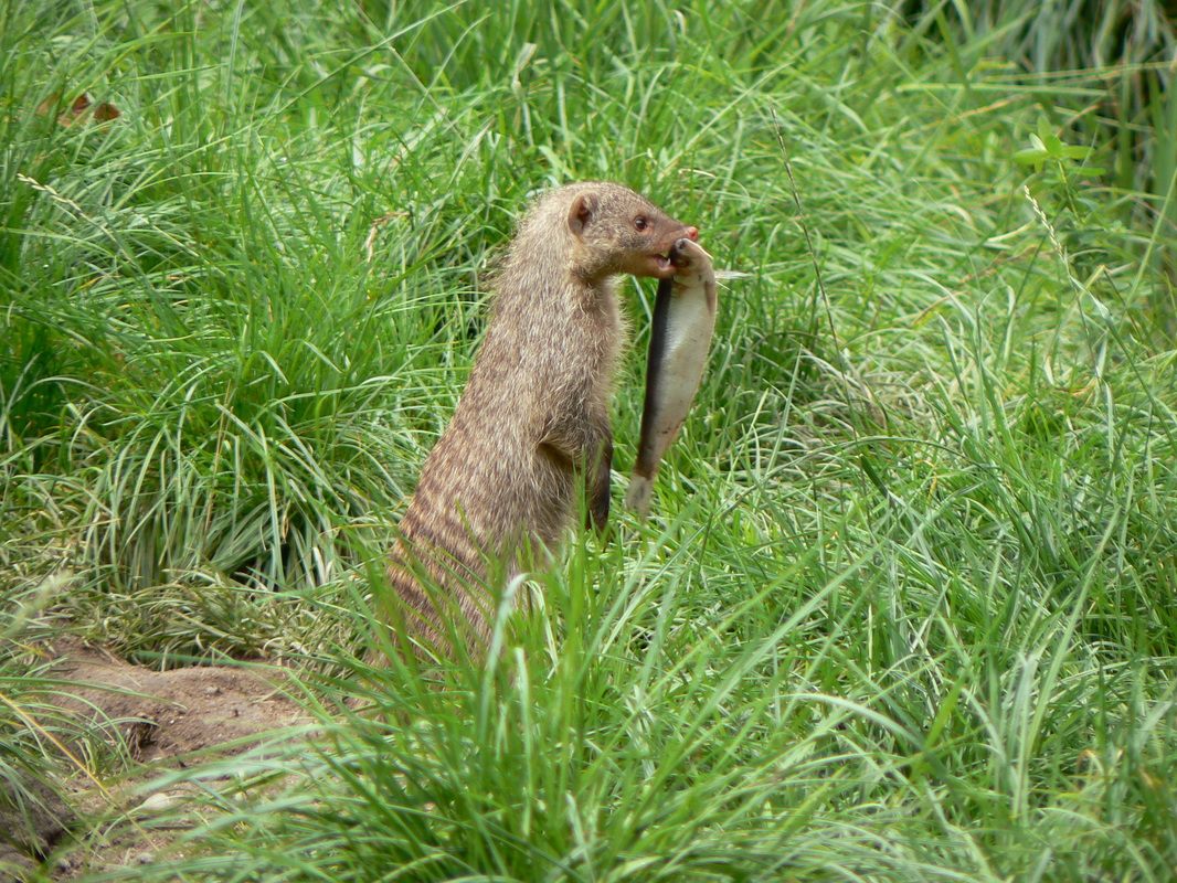Ja, ist denn schon wieder Freitag!