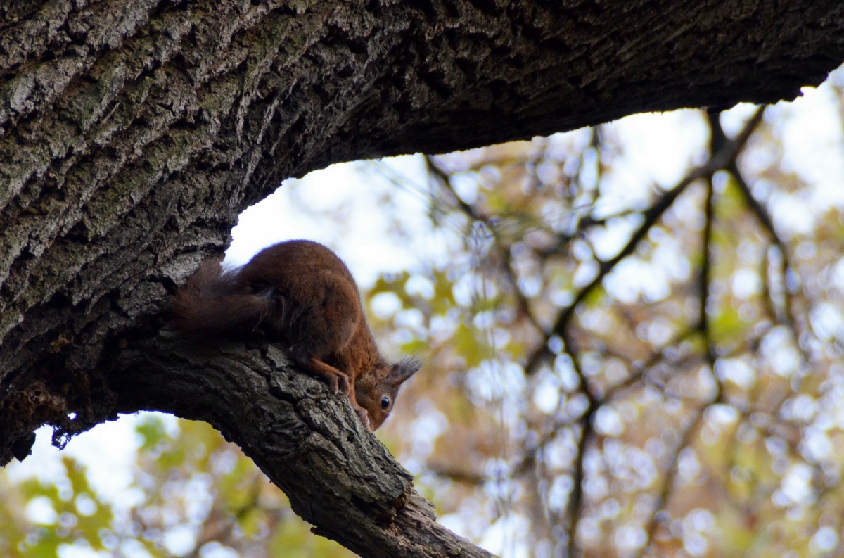 Erwischt beim spielen....