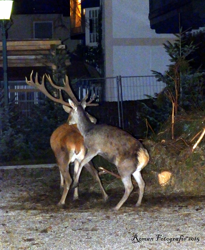 Irgendwas stimmt doch da nicht