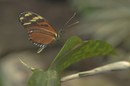 Fotos_Insekten & Spinnen