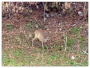 unser Besucher