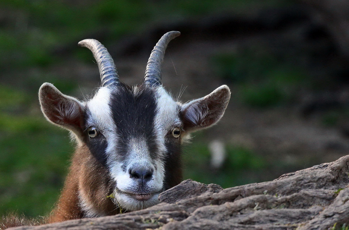 Verstecken spielen ..