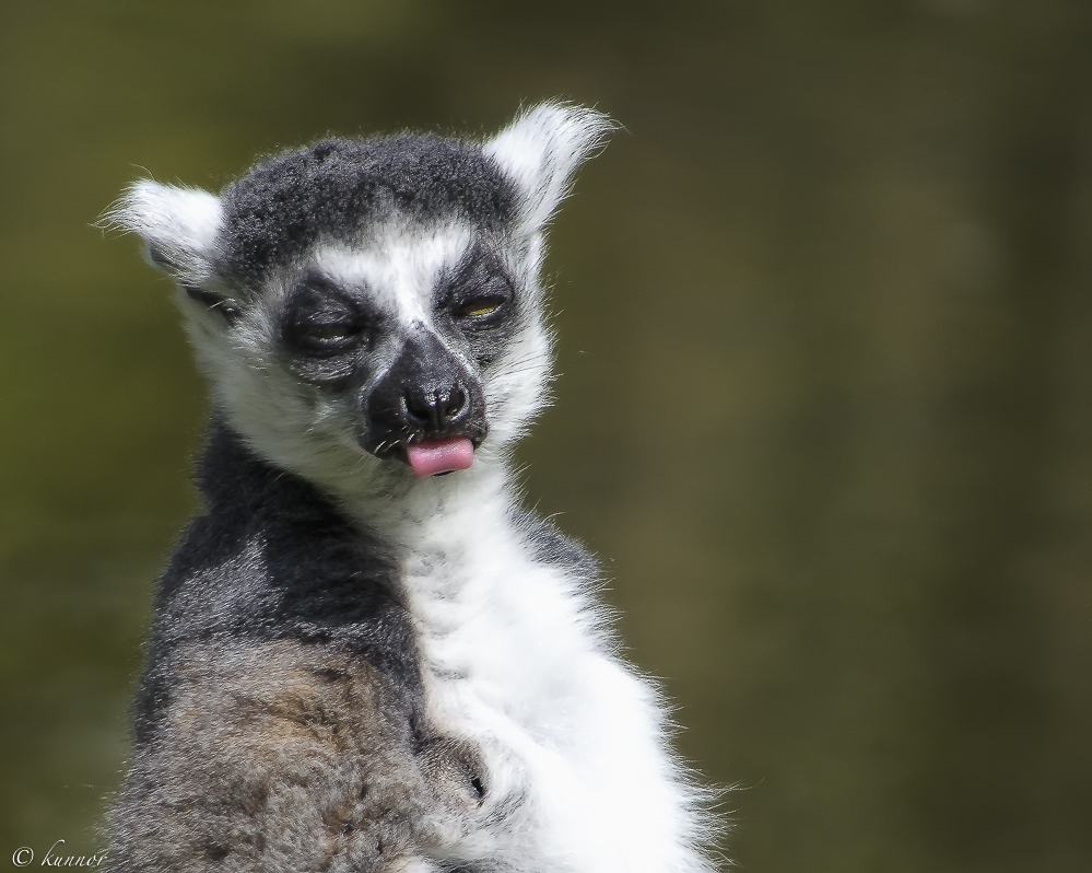 ein leckeres Eis.......