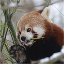 ...mmmhhh....lecker...