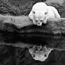 wer ich bin...