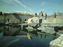 Fotos_Raubtiere (Zoo, Wildpark, Falknerei)