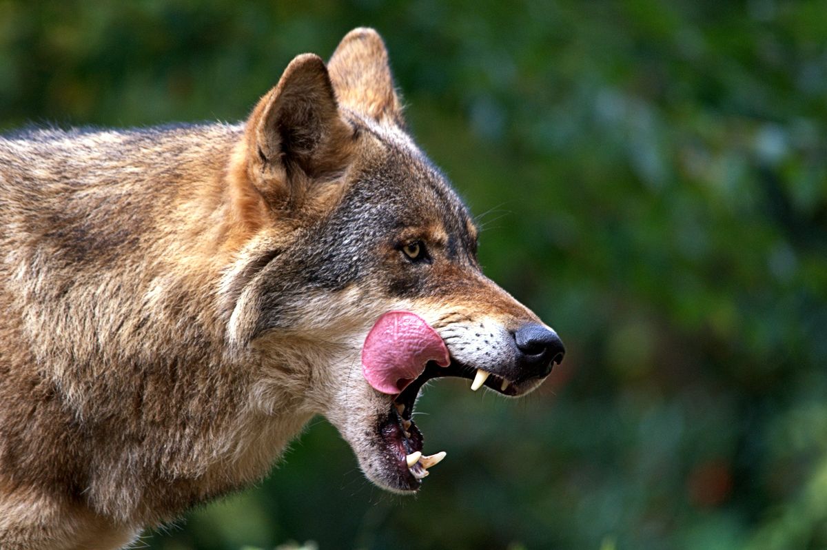 Hm lecker...........