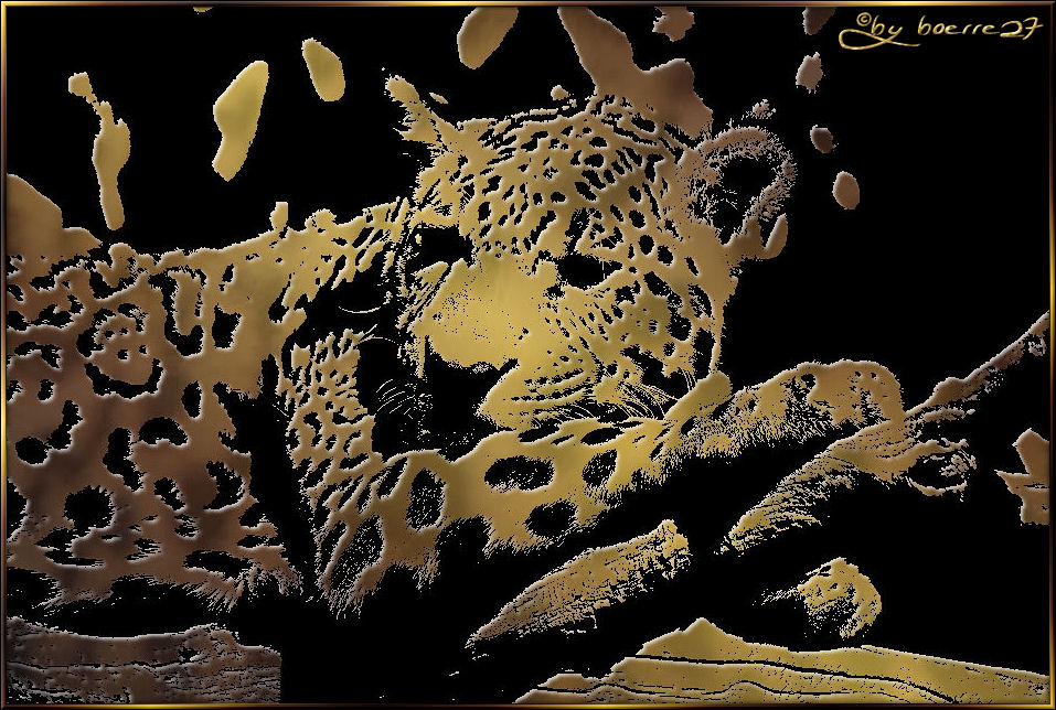 Ein krefelder Jaguar...............