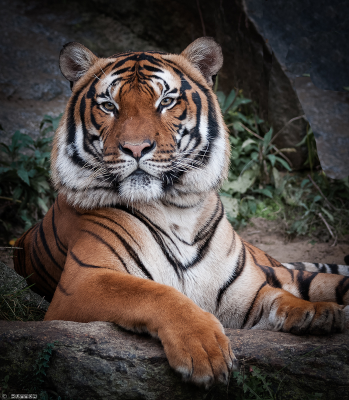 ambizioniertes Model !!