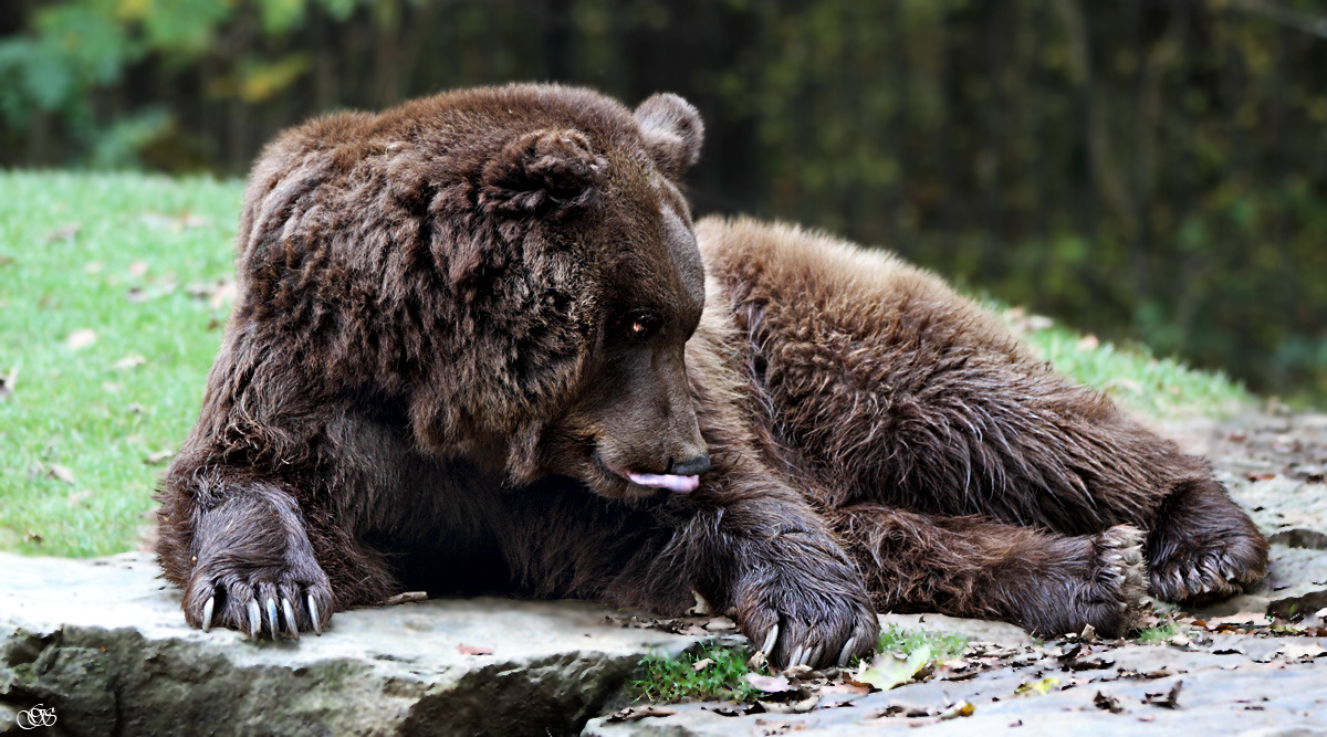 In Gemütlicher Stellung 
