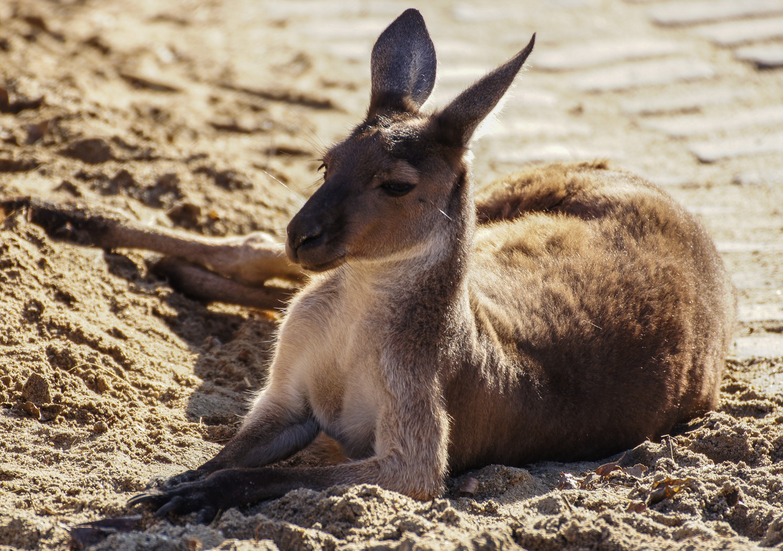 cool down.......    :)