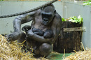 Fotos_Zoolandschaften