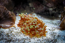 Fotos_Zoolandschaften
