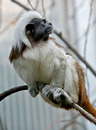 Fotos_Zoolandschaften