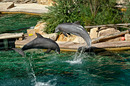 Fotos_Zoolandschaften