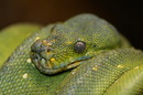 Fotos_Zoolandschaften