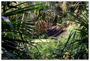 Fotos_Zoolandschaften
