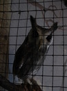 Fotos_Zoolandschaften